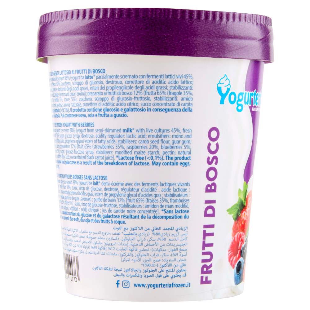 Yogurteria Frozen Yogurt Frutti di Bosco 250 g