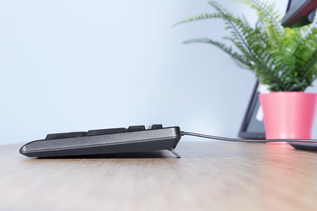 Trust Primo tastiera Universale USB AZERTY Belga Nero