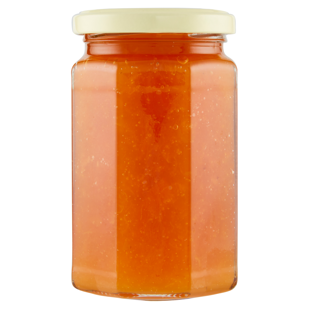 Terre d'Italia Confettura Extra di Albicocche con albicocche della Campania 340 g