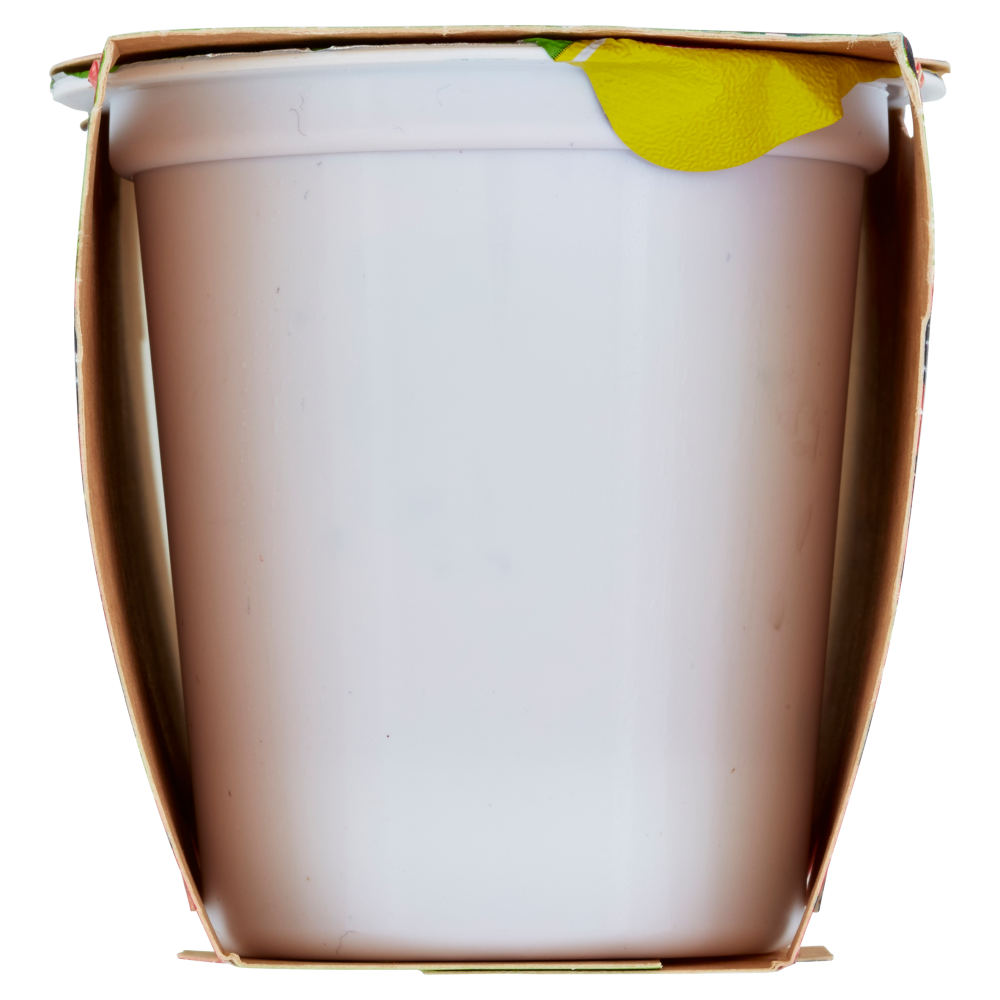 Centrale del Latte di Torino Tapporosso Yogurt Magro Frutti di Bosco in pezzi 2 x 125 g