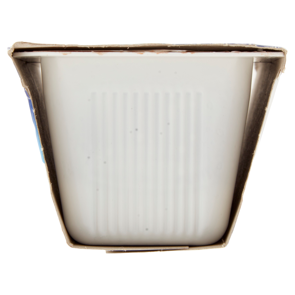 Centrale del Latte di Roma Budino al Cioccolato 2 x 100 g