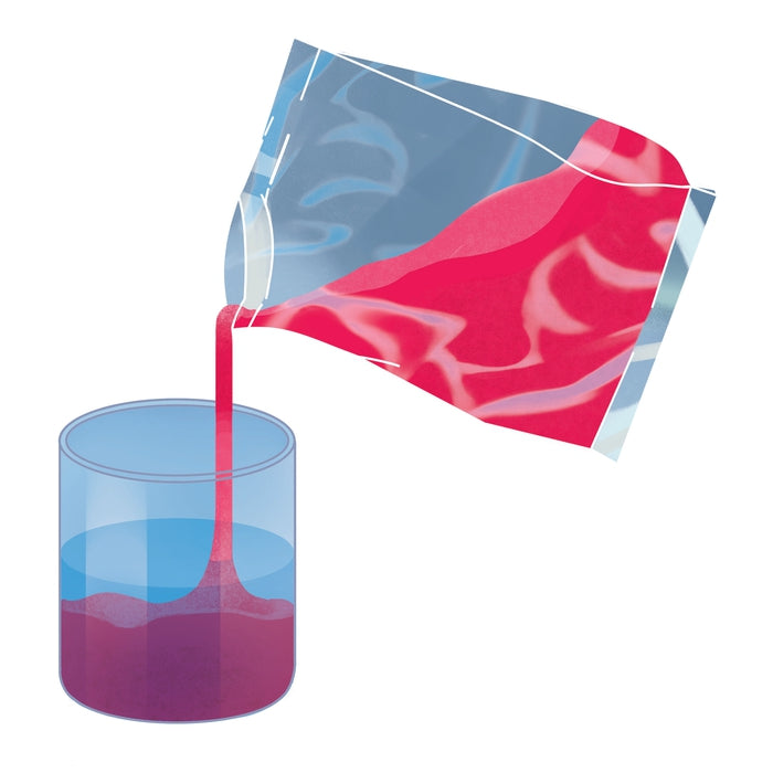 Clementoni Science & Play Anatomia Scheletro E Organi