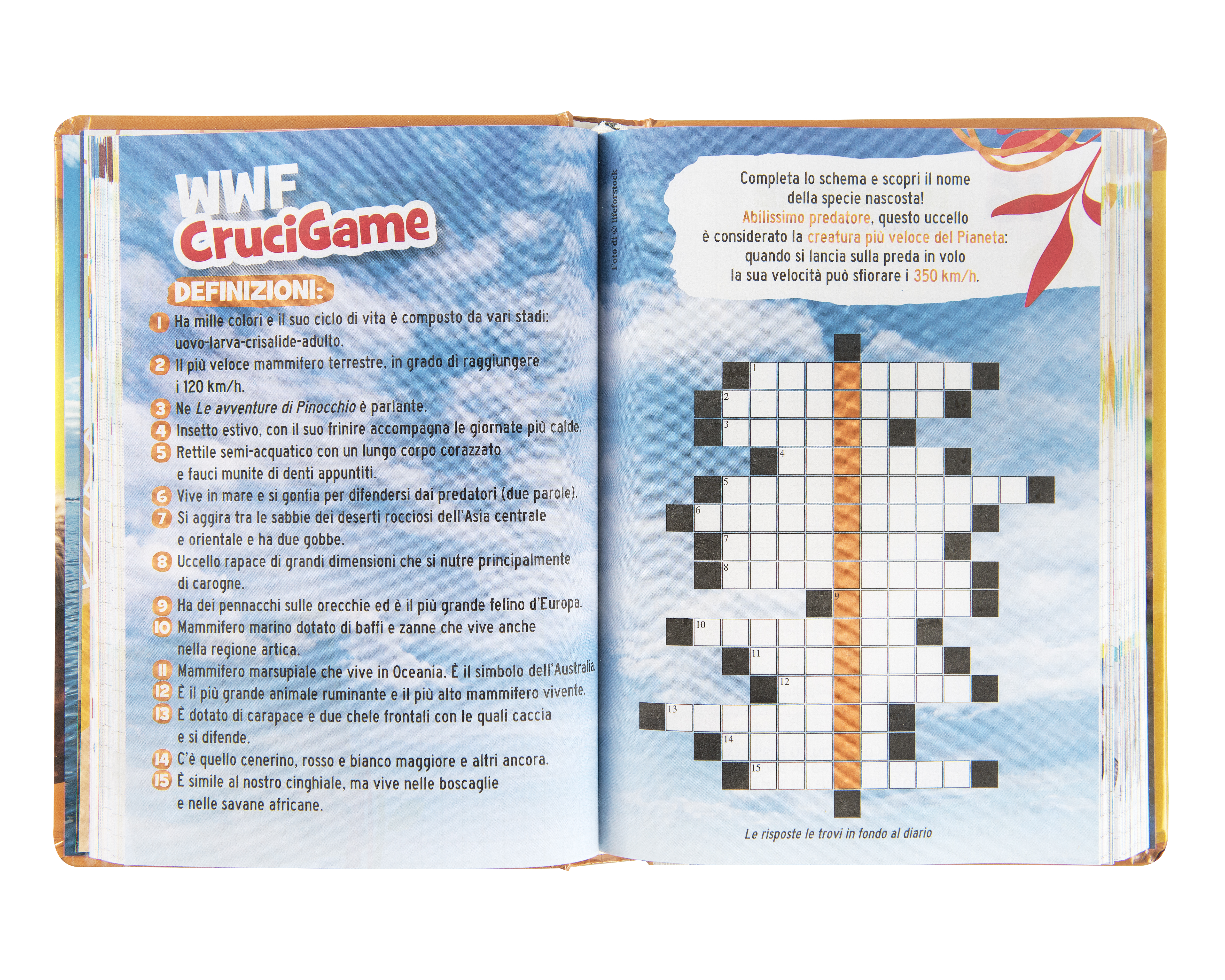 Carrefour 8058263229227 Diario Diario scolastico