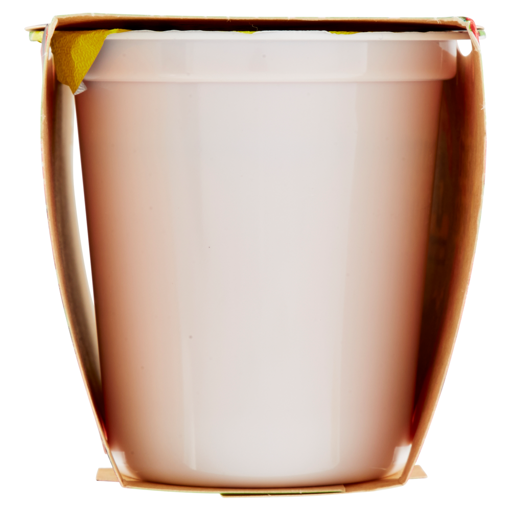 Centrale del Latte di Torino Tapporosso Yogurt Magro Fragola 2 x 125 g