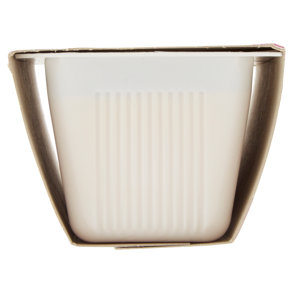 Carnini il Budino 2 x 100 g