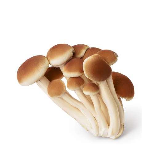Filiera Qualità Carrefour Funghi Pioppini