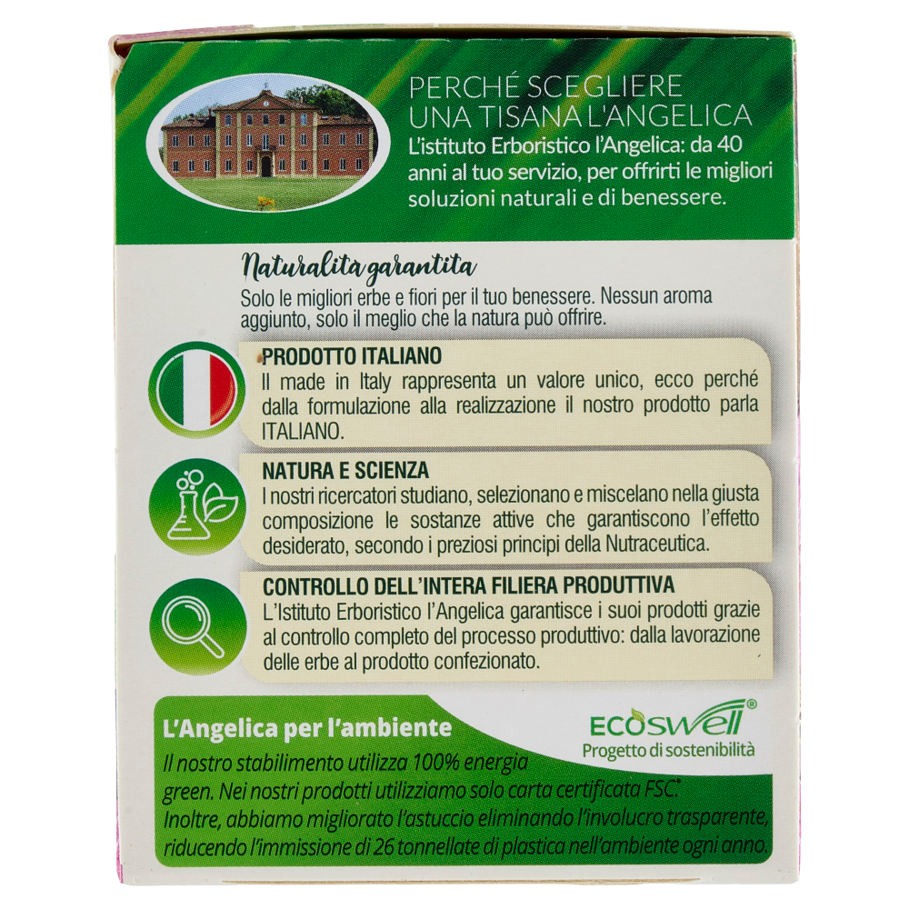 L'Angelica Le Tisane Depurativa Active 18 Filtri 36 g