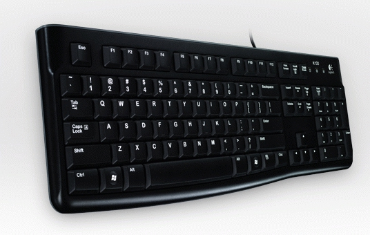 Logitech K120