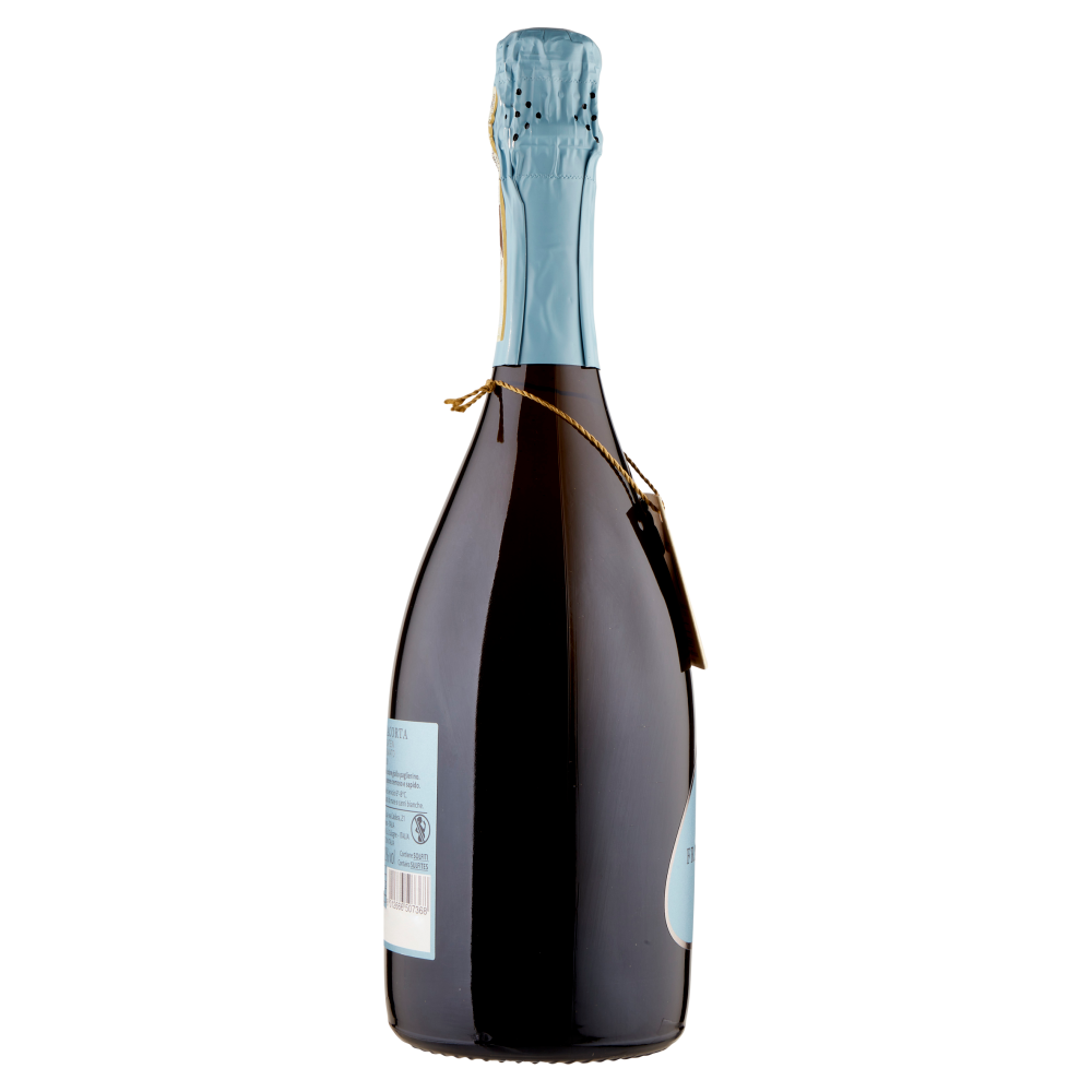 Terre d'Italia filari del Lago Franciacorta Brut Satèn Millesimato DOCG 75 cl