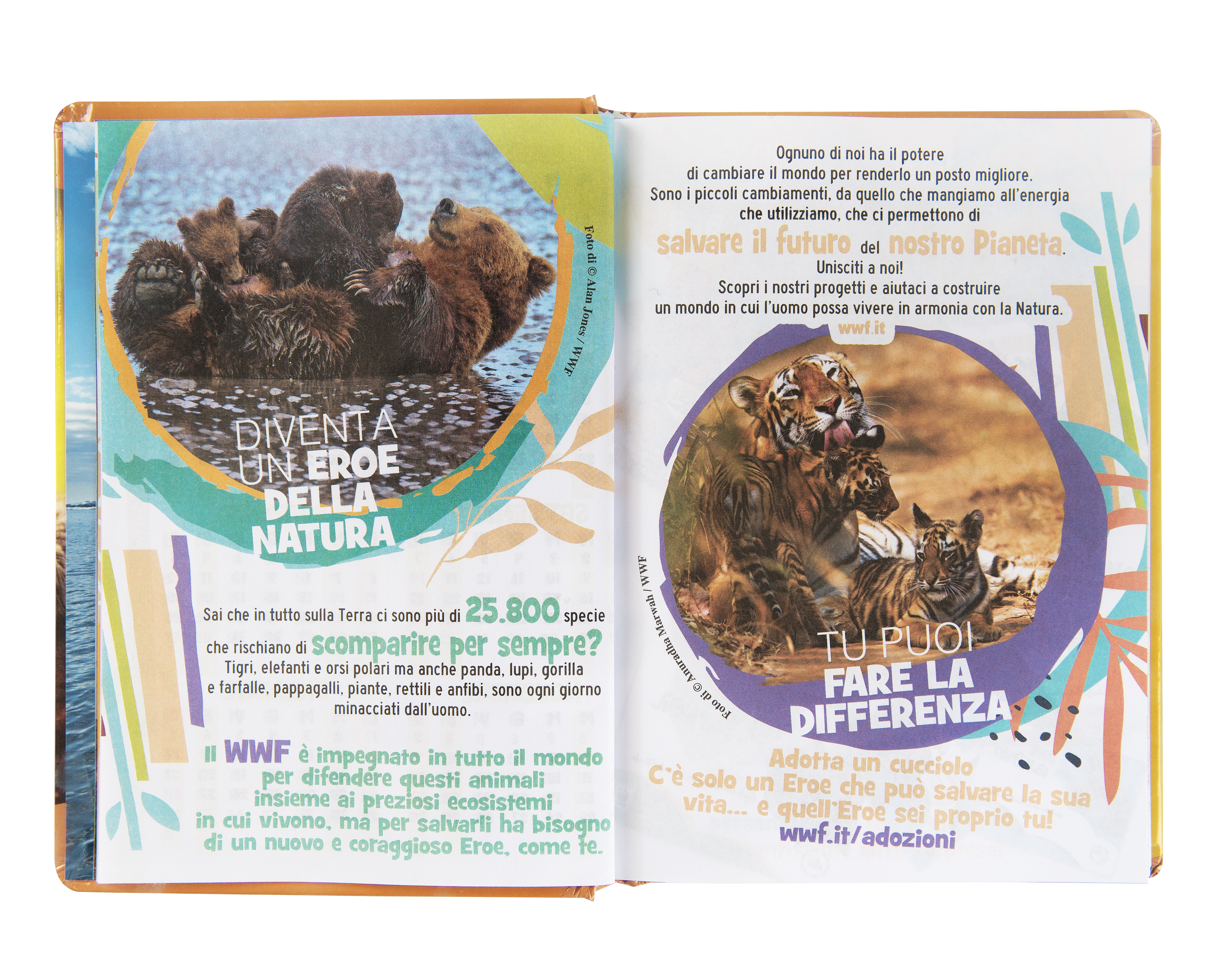 Carrefour 8058263229227 Diario Diario scolastico