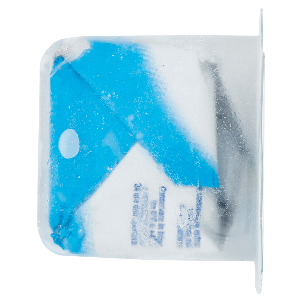 Spega Robiola di Capra 100 g