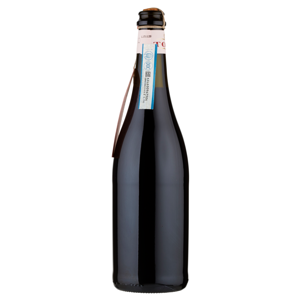 Piemonte DOC Barbera - Fiocco di Vite - 75 cl