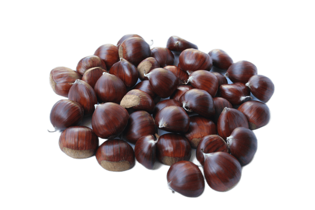 Castagne 1 kg