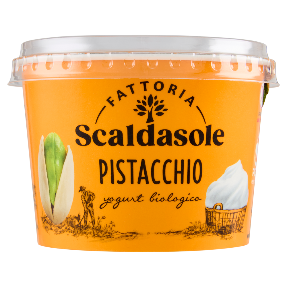 Fattoria Scaldasole Pistacchio yogurt biologico 250 g