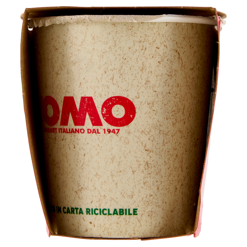 Yomo i Frutti di bosco 2 x 125 g