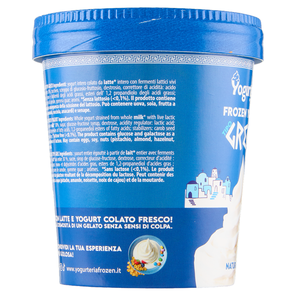 Yogurteria Frozen Yogurt Tipo Greco Naturale 250 g