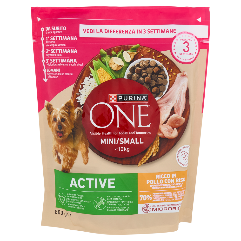 PURINA ONE Mini/Small Active Pollo e Riso 800g