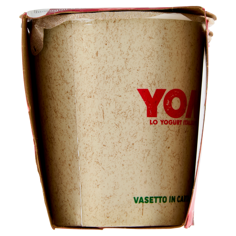 Yomo i Frutti di bosco 2 x 125 g