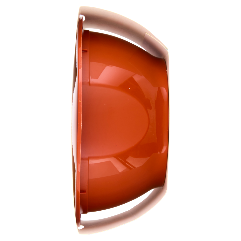 Amor mio Polenta e Gorgonzola dolce D.O.P. 350 g