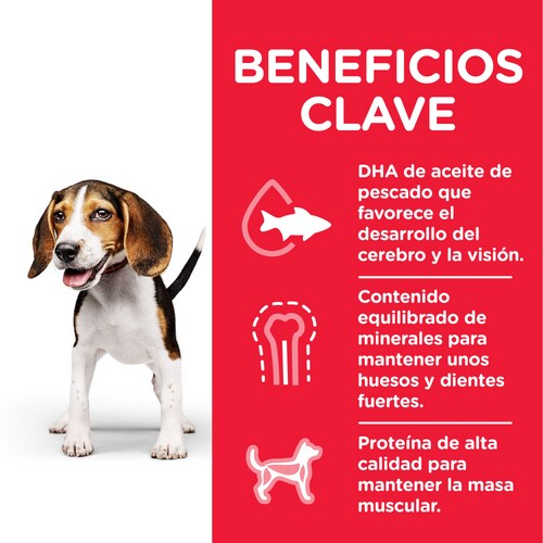 Hills 604220 cibo secco per cani 370 g Cucciolo Pollo, Maiale