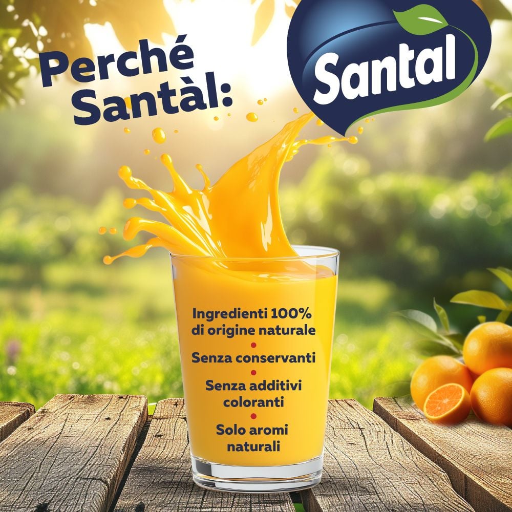 Santal Succo di Frutta Ananas 1000 ml