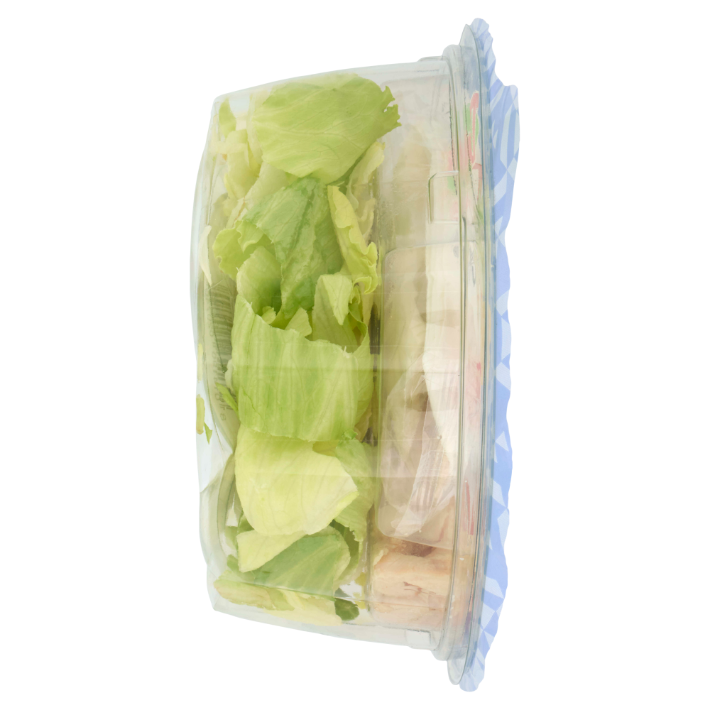 DimmidiSì Piatto unico goloso Cesar Sala con Grana Padano 180 g