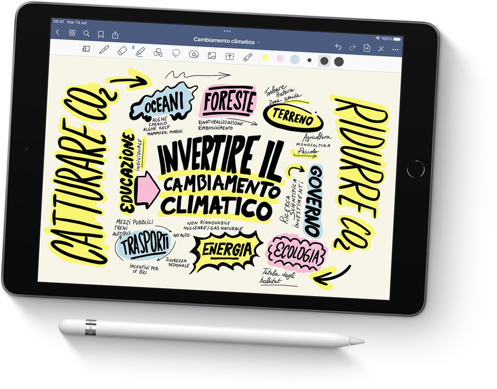 Apple iPad , 10.2" LED, 2160 x 1620, A13 Bionic, 256GB, 802.11ac Wi-Fi 5, Bluetooth 4.2, Touch ID, 8MP + 12MP, iPadOS