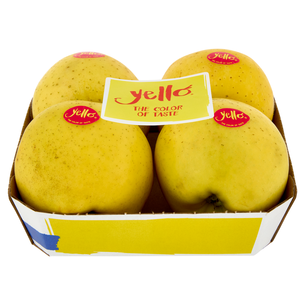 yello by Marlene Shinano Gold vassoio 4 frutti