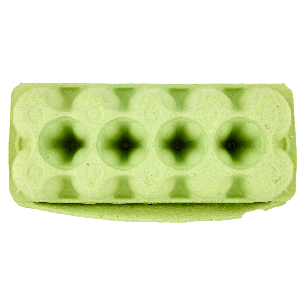 Aia 10 Uova Fresche da allevamento a Terra 530 g