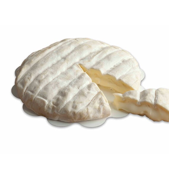 Tuma Dla Plaja da banco