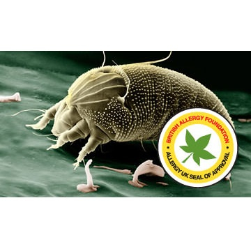 Polti Vaporetto Smart 30_S Pulitore a vapore cilindrico 1,6 L 1800 W Grigio, Bianco