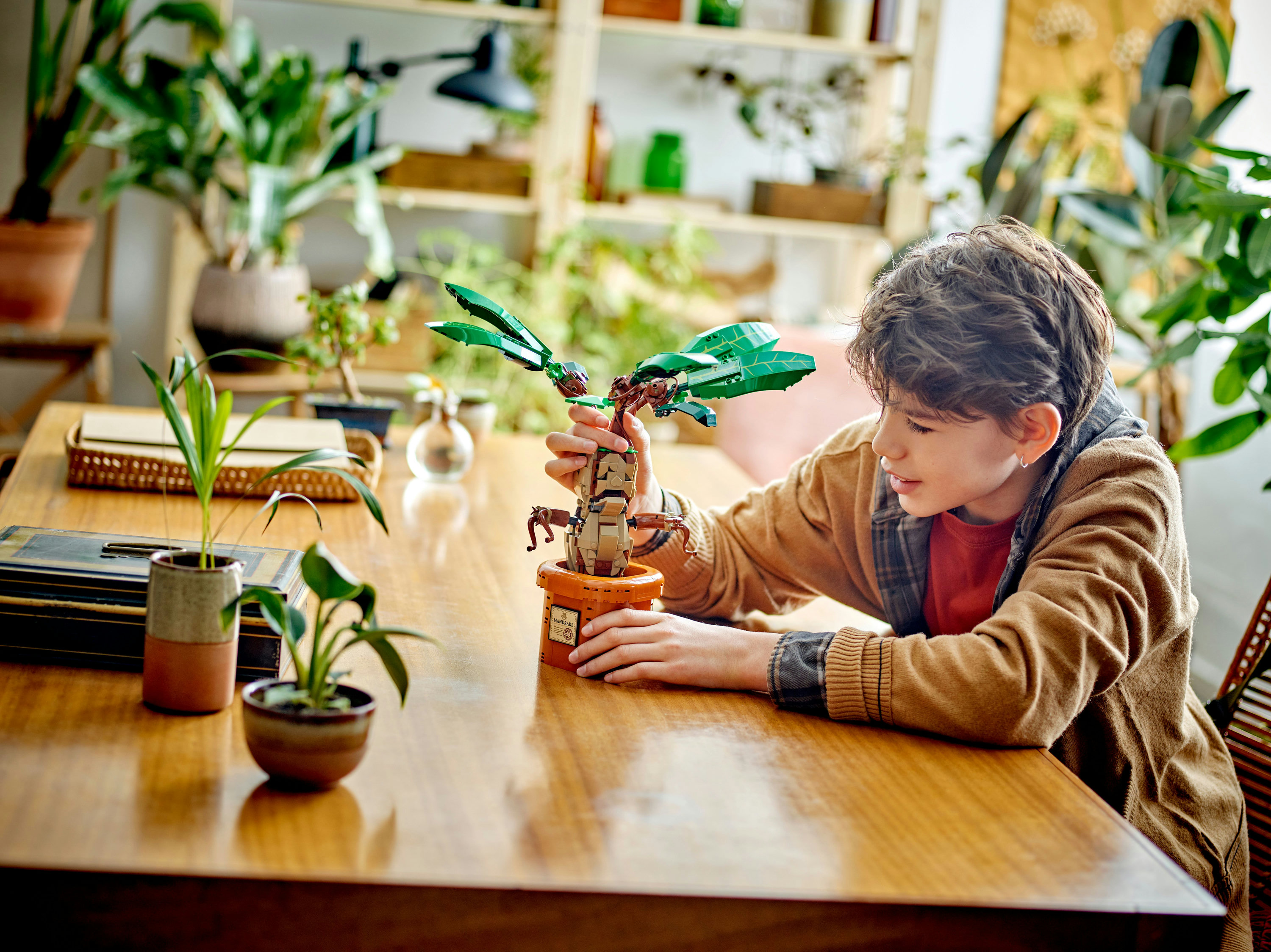 LEGO Harry Potter Mandragola