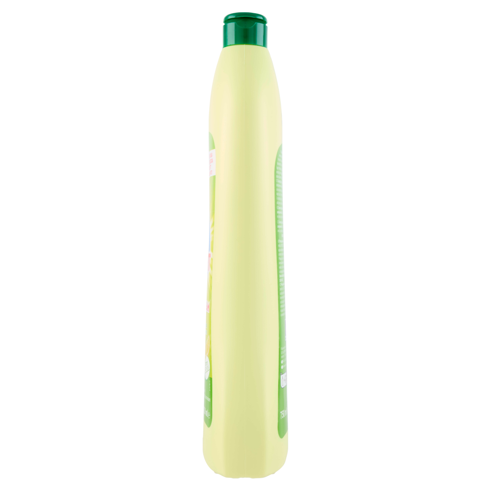 Carrefour Expert Power Cream Crema Sgrassante Limone 750 ml