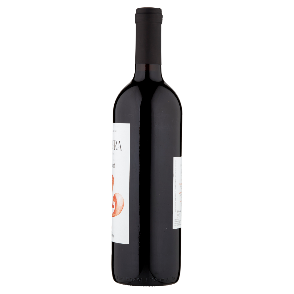 Cantina Valtidone viti&vini Colli Piacentini D.O.C. Barbera Vino Frizzante 0,75 l