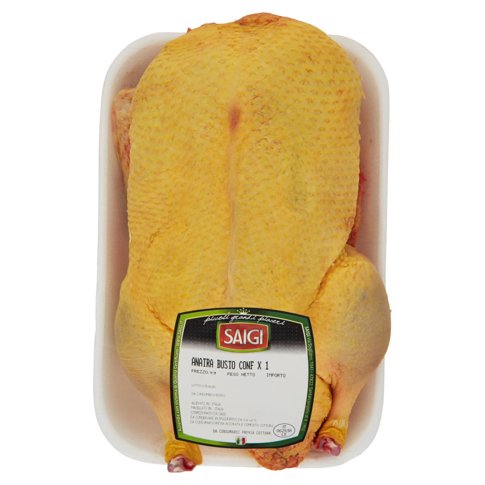 Saigi Anatra Busto