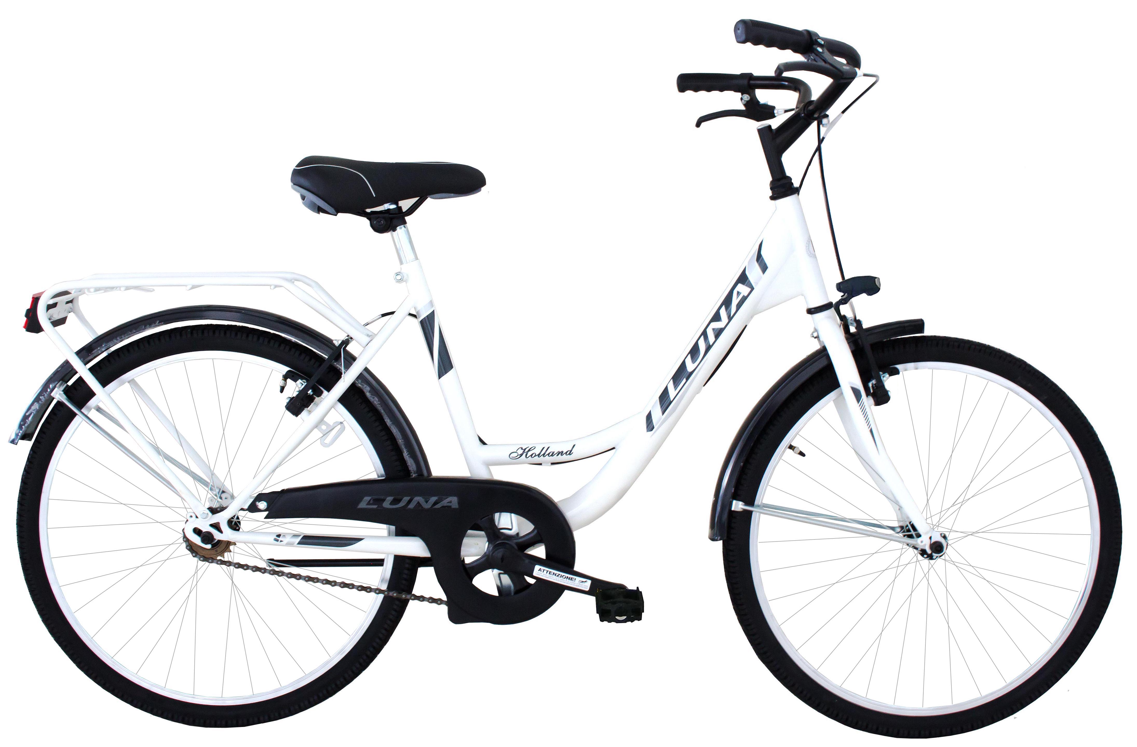 F.lli Masciaghi Bicicletta Olanda | Carrefour