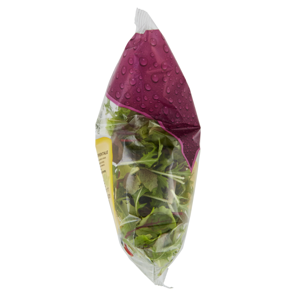 Ortopronto Misticanza Orientale 70 g