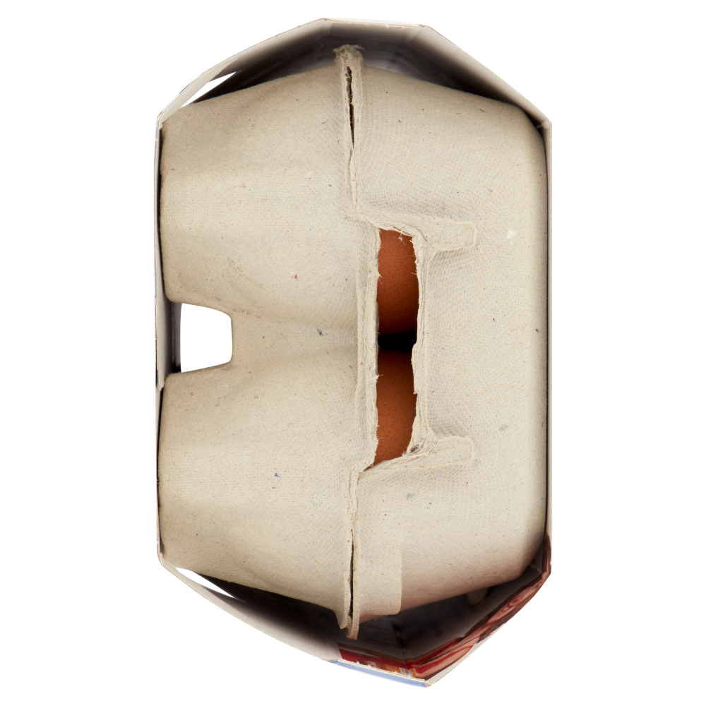 Fantolino Delicate Extra Fresche 6 Uova Fresche da Allevamento a Terra Taglia L