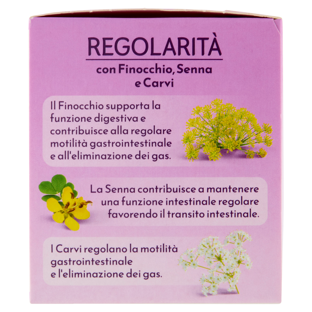 Bonomelli Regolarità Tisana per Infusione 16 Filtri 32 g