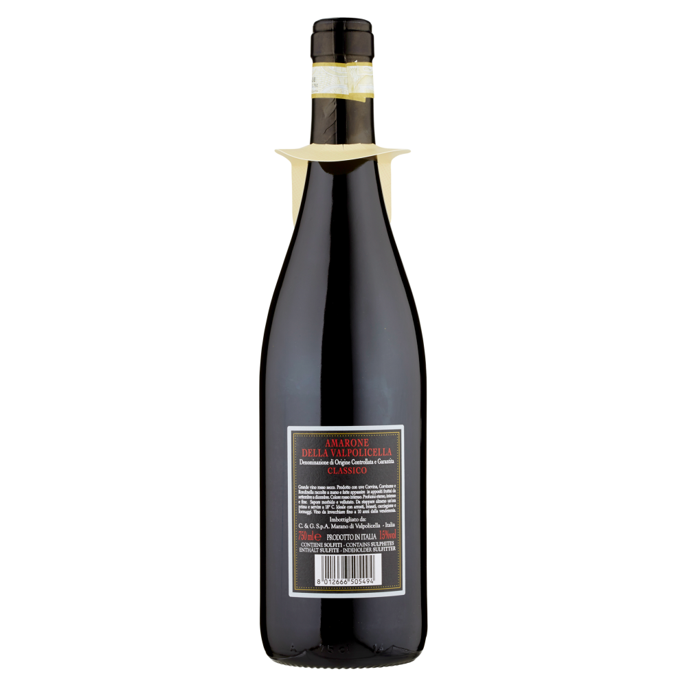 Terre d'Italia Villa Mondi Amarone della Valpolicella DOCG Classico 750 ml