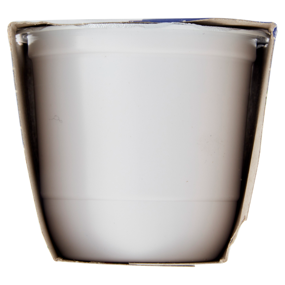 Centrale del Latte di Roma Fragola Yogurt Intero 2 x 125 g