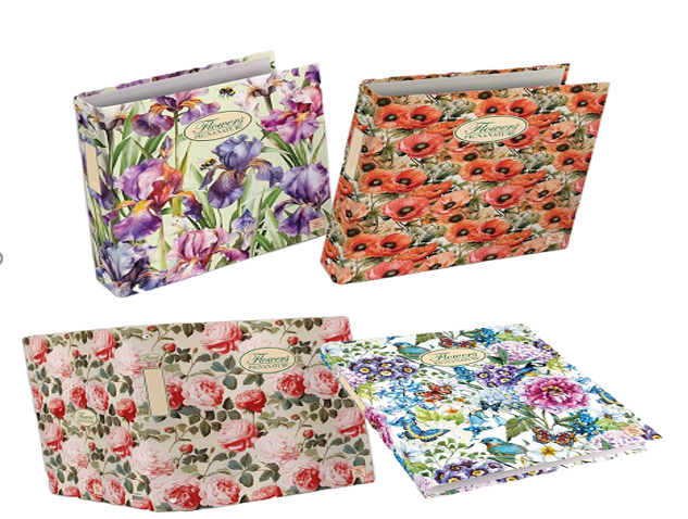 Pigna 8005235202627 raccoglitore ad anelli A4 Colori assortiti