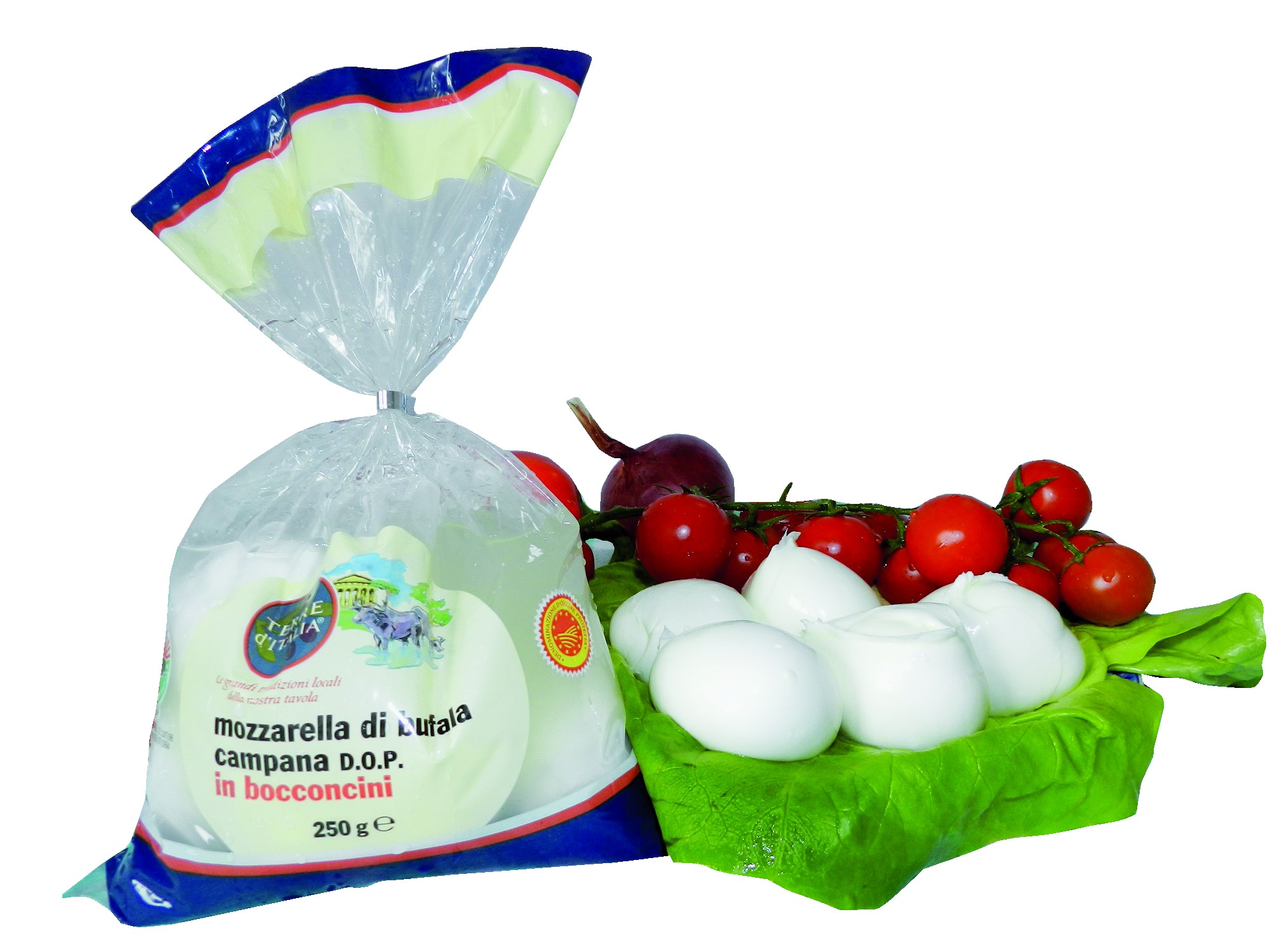 Terre d'Italia Mozzarella di bufala campana DOP 250 g
