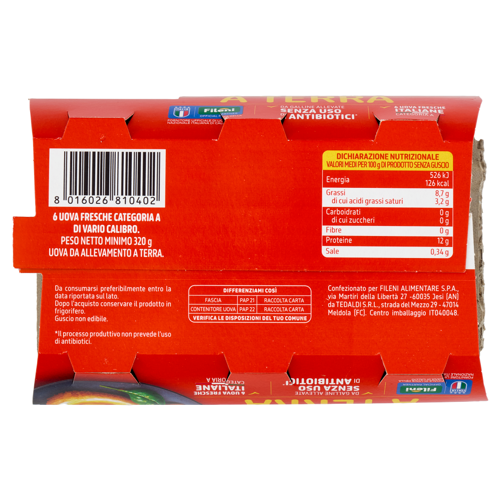Fileni Uova da Allevamento a Terra 6 Uova Fresche 320 g