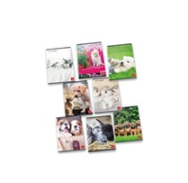 Pigna 8005235100398 quaderno per scrivere A4 42 fogli Multicolore