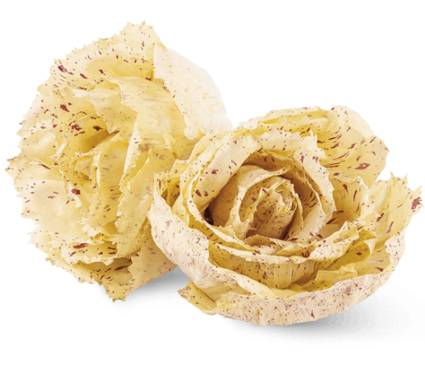 Radicchio Variegato Sfuso 500 g