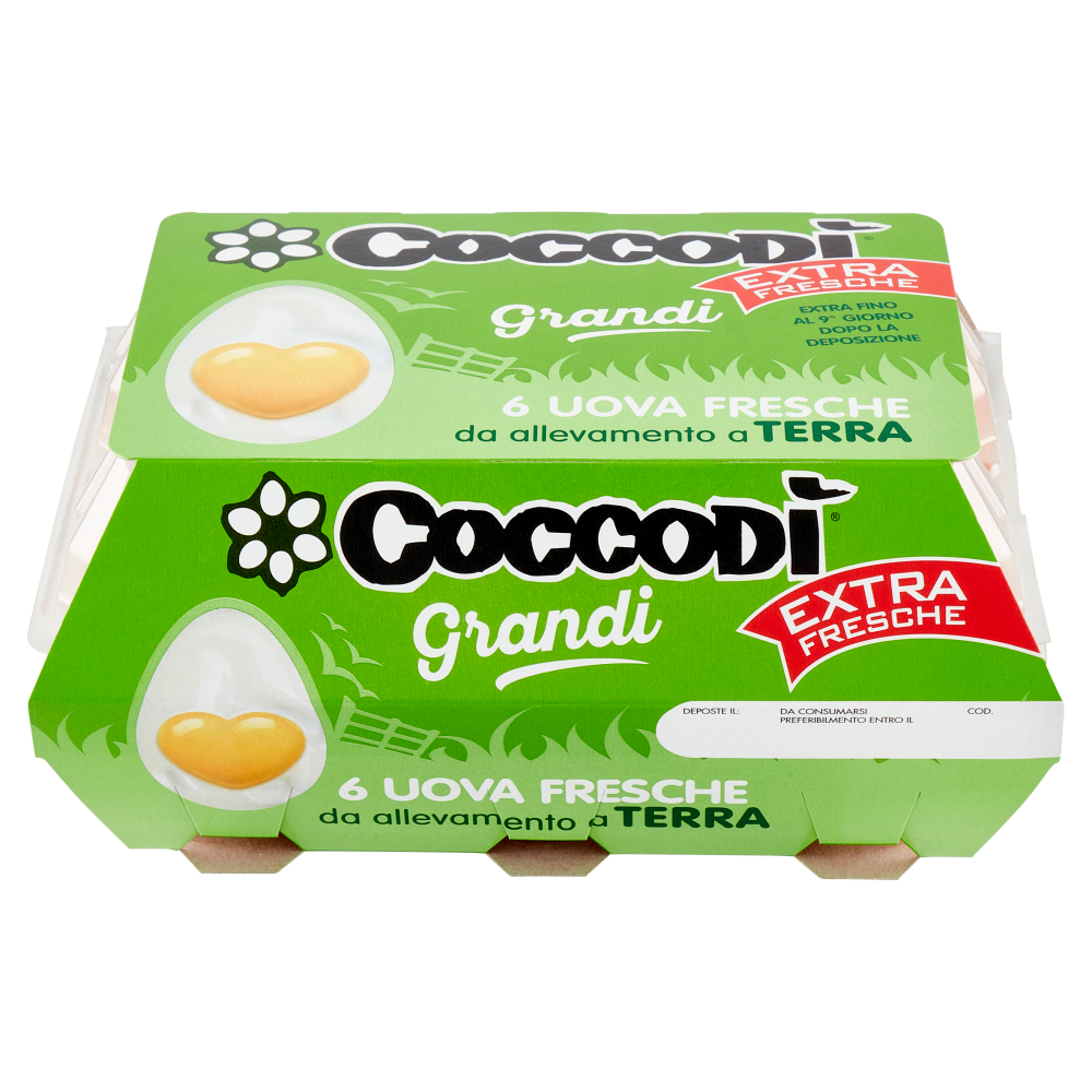 Coccod&igrave; Grandi Extra Fresche 6 Uova Fresche da allevamento a Terra