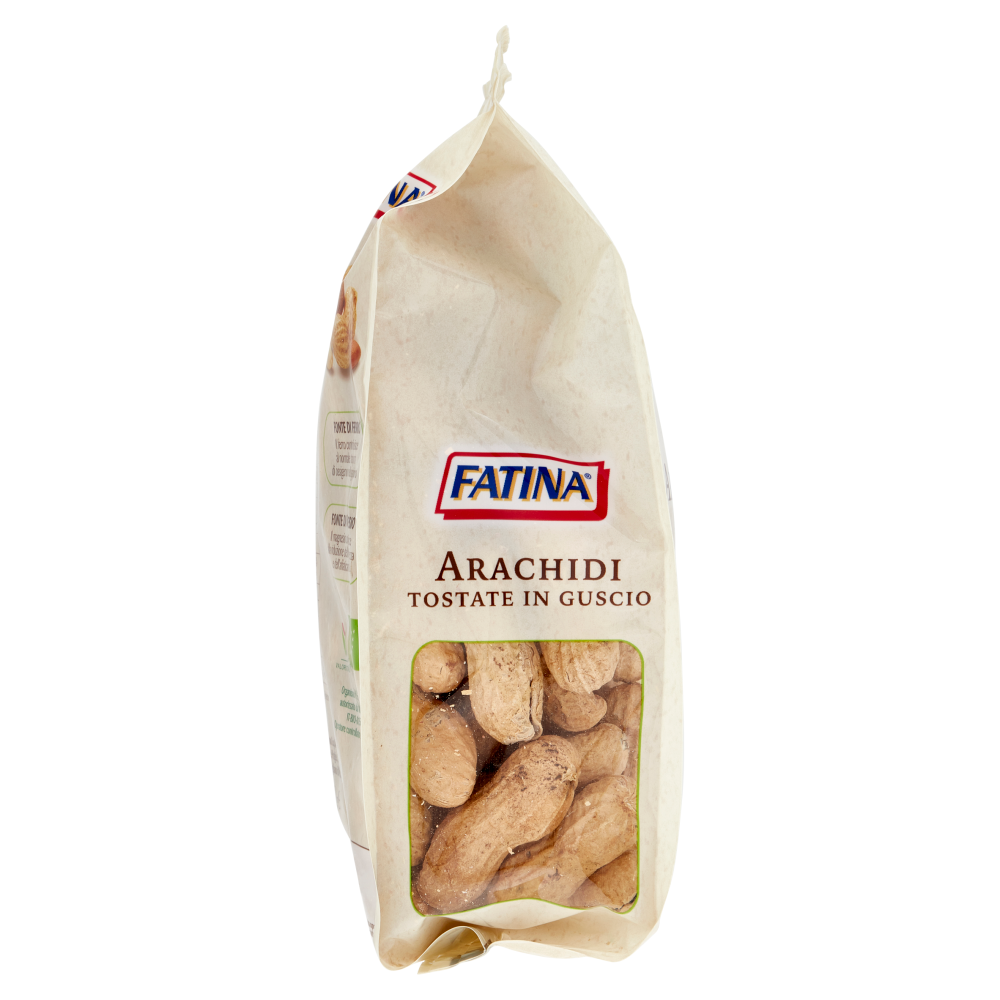 Fatina Bio organic Arachidi Tostate in Guscio 250 g