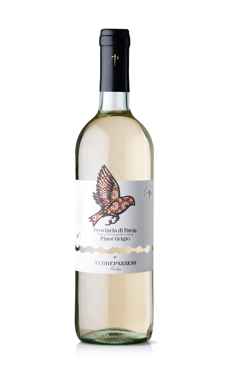 Pinot Grigio IGT Provincia Pavia
