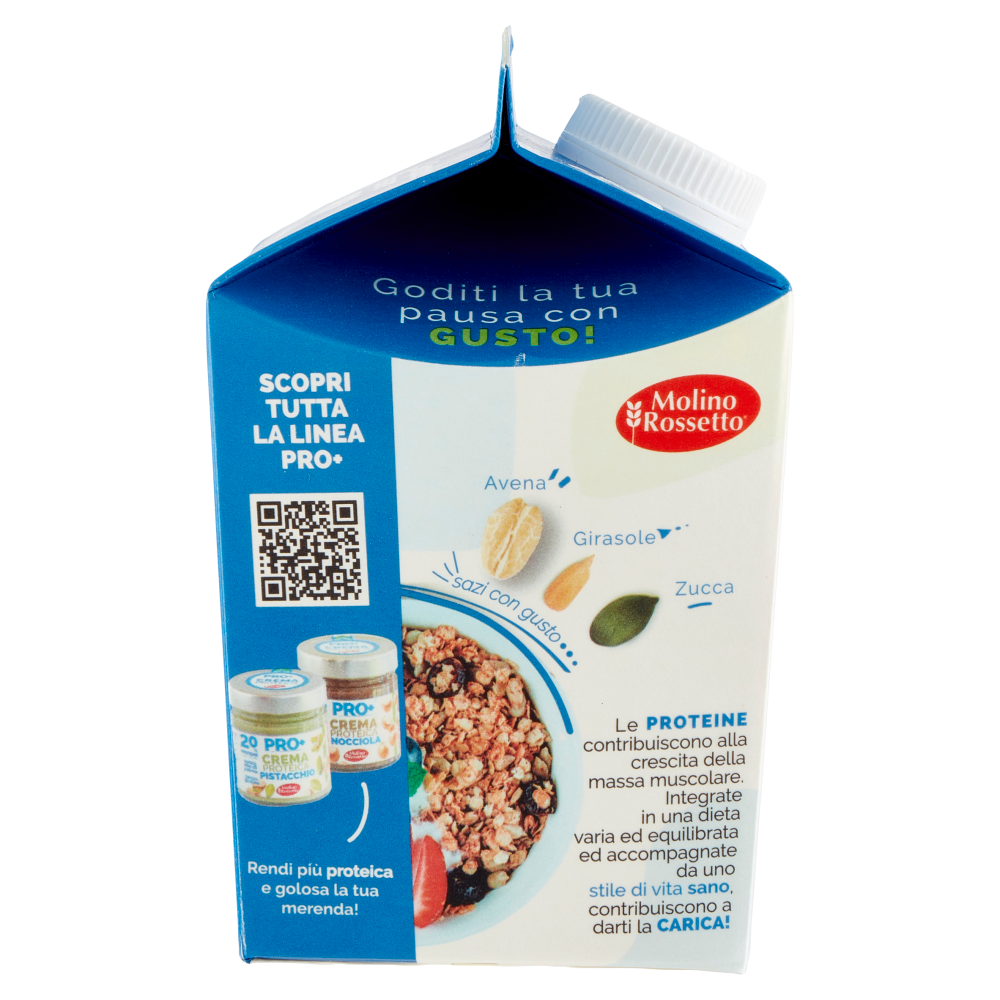 Molino Rossetto Pro+ Porridge Proteico Basic + con semi di zucca e girasole 300 g